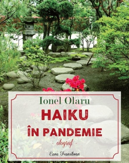 I. Olaru-HAIKU in pandemie